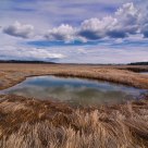 Round Pond at Scarborough Marsh